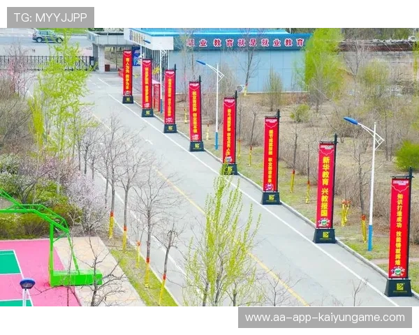 电竞选手职业发展体系完善,电竞选手职业发展体系完善方案